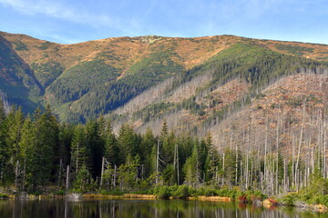 Smreczyński Staw – polodowcowe jezioro morenowe, Tatry Zachodnie, Tatrzański Park Narodowy, Kościelisko, Małopolska, Polska, Europa, © Albin Marciniak