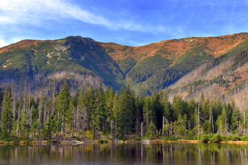 Smreczyński Staw – polodowcowe jezioro morenowe, Tatry Zachodnie, Tatrzański Park Narodowy, Kościelisko, Małopolska, Polska, Europa, © Albin Marciniak