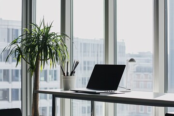Fototapeta premium A sleek, minimalist office showcases a tidy desk with a laptop and a plant bathed in natural light.