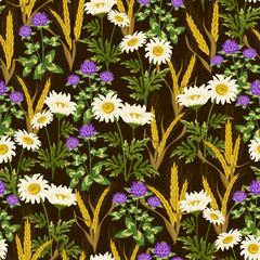 Ears and wild flowers in a pattern.Colored vector pattern with ears of corn, daisies and clover on a colored background.
