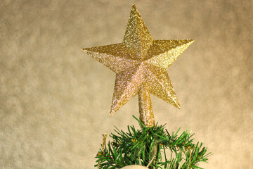 Close-up shot of a Christmas tree with a star on top. Preparation for celebrate new year concept idea.