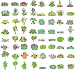 Colorful Side View of Plants and Flowers on White Background - Vector EPS - 03