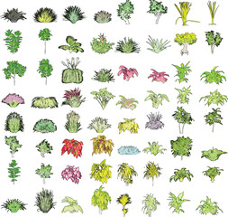 Colorful Side View of Plants and Flowers on White Background - Vector EPS - 04