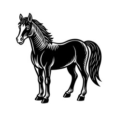 horse silhouette vector illustration