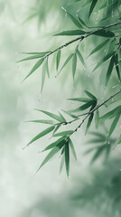 Obraz premium A leafy green plant with raindrops on it. Concept of tranquility and calmness, as the raindrops gently fall on the leaves, creating a peaceful atmosphere