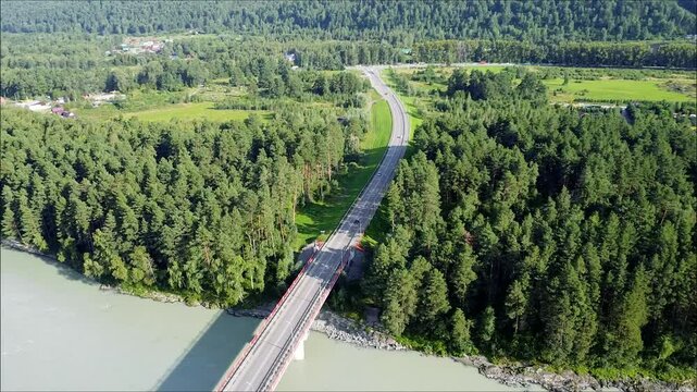 Vast green forset with a road between the trees. drone shot