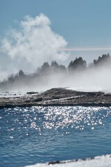 Naklejka premium Geyser water in Iceland, with mist and trees in the background.