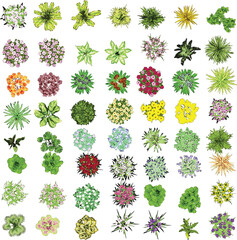 Top View of Colorful Plants and Flowers on White Background - Vector EPS - 02