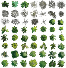 Top View of Colorful Trees on White Background - Vector EPS -01