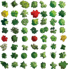 Top View of Colorful Trees on White Background - Vector EPS -05