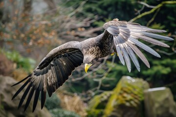 Majestic bald eagle soaring through a clear blue sky, wings spread wide, detailed feathers, sharp eyes
