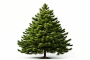 Fototapeta premium Cristmas pine tree isolate on white background. Generative ai