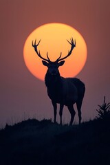 A majestic stag standing on a distant hill at dawn, its silhouette magnified with the rising sun behind it. -