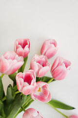 Obraz premium Pink tulip flowers bouquet on white background