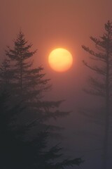 The rising sun as seen through dense fog, with trees appearing ghostly in the background. 