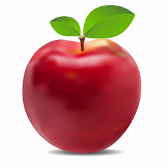 Realistic red apple vector design.