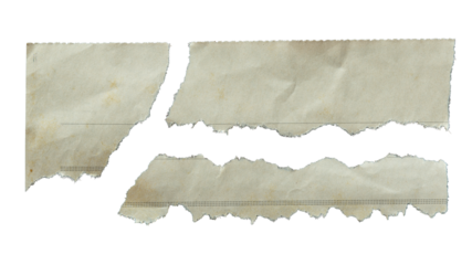 Small pieces of  torn old Newspaper