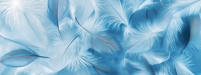 background of delicate blue color feathers arranged in a minimalist style