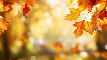 Vibrant autumn background with blurred yellow, orange, and brown fall leaves, highlighted by soft white bokeh lights. Ideal for seasonal designs with ample copy space for text or design elements.