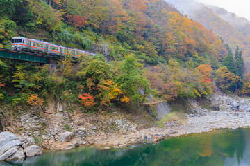 朝もやに霞む紅葉の第11宮川橋梁を駆け抜ける高山本線の気動車