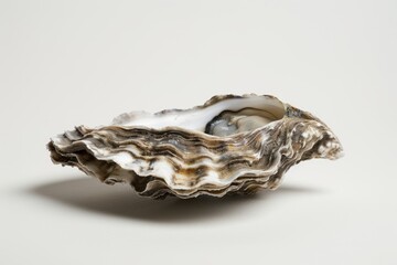A beautifully crafted oyster shell showcasing intricate textures and natural colors. Ideal for marine-themed art or culinary presentations. Generative AI