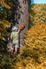 An 8 year old boy feeds a squirrel in tree in woods on warm fall afternoon