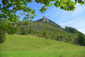 Kończysta Turnia, szczyt, Tatry Zachodnie, Tatrzański Park Narodowy, Kościelisko, Małopolska, Polska, Europa, © Albin Marciniak