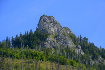 Kończysta Turnia, szczyt, Tatry Zachodnie, Tatrzański Park Narodowy, Kościelisko, Małopolska,...