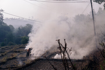 Burning crops in North Thailand Chiang Mai Pollution air quality environment PM 2.5