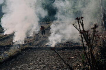 Burning crops in North Thailand Chiang Mai Pollution air quality environment PM 2.5
