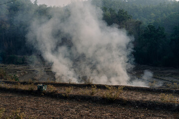 Burning crops in North Thailand Chiang Mai Pollution air quality environment PM 2.5