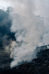 Burning crops in North Thailand Chiang Mai Pollution air quality environment PM 2.5