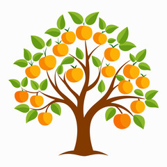 Orange Tree Silhouette with Fruit on White Background