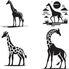 Wild animals silhouette, giraffe