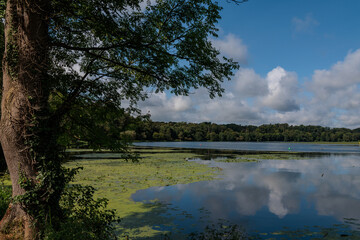 Essen und der Baldeneysee im Ruhrgebiet