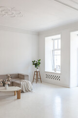 bright interior design of spacious living room with white walls and decorative unique historical moldings on ceiling stylish modern furniture in warm colors without people daylight through the windows