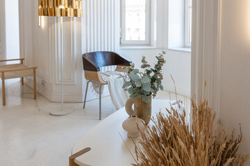 bright interior design of spacious living room with white walls and decorative unique historical moldings on ceiling stylish modern furniture in warm colors without people daylight through the windows