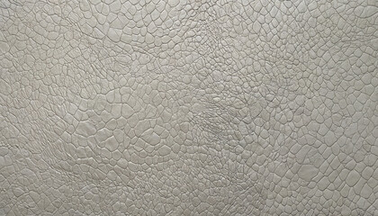 pattern of white turtle skin
