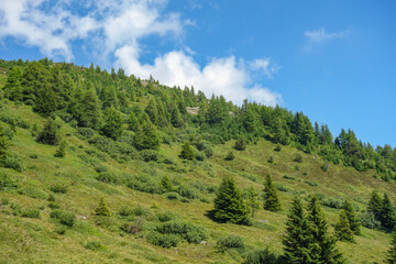Obraz premium Wandern in den österreichischen Alpen