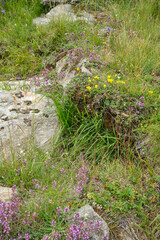 Wandern in den österreichischen Alpen
