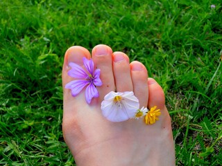 pied de femme avec pétale de fleurs 