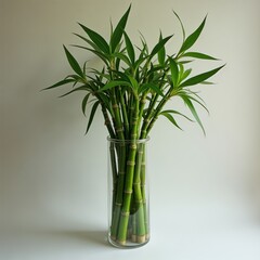 Obraz premium bamboo in vase