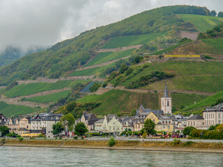 Fototapeta premium Der Rhein bei Bingen