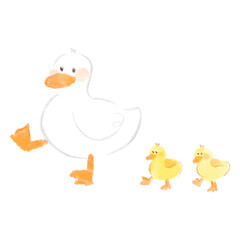DUCK duckling kling / zni
