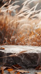 A weathered stone sits amidst golden grass and wheat stalks, basking in the warm glow of late afternoon sunlight in a tranquil rural setting during autumn