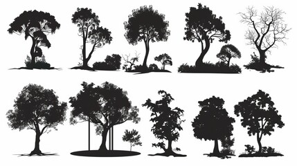 Fototapeta premium A collection of tree silhouettes, some of which are in the process of dying