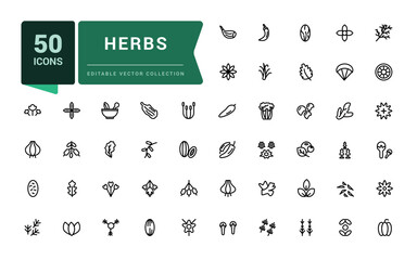 Herbs and spices icon set. Pixel perfect, minimalistic web and UI icon. Outline icons collection. Editable vector illustration.