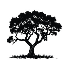 Obraz premium Artistic Silhouette of a Twisted Tree