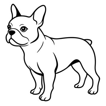 recommend clip art: French bulldog line art vector illustration
