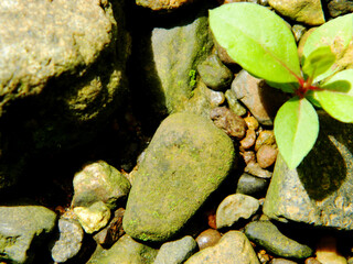 Abstract background with mountain rocks. Large shaped rocks that can be found on the shore of the sea, lake or river.